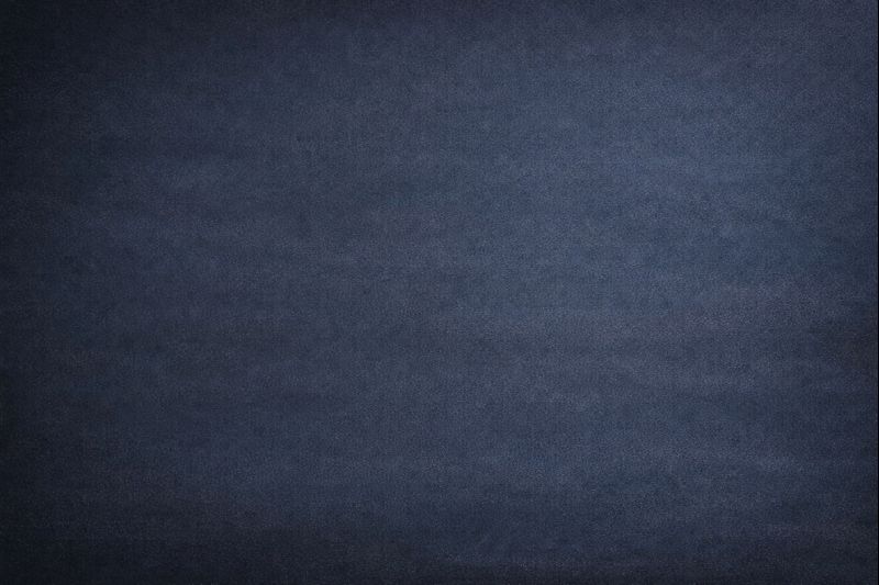 Don't Be An Asshole US A Humor-Driven Movement for Unity Without the Hostility